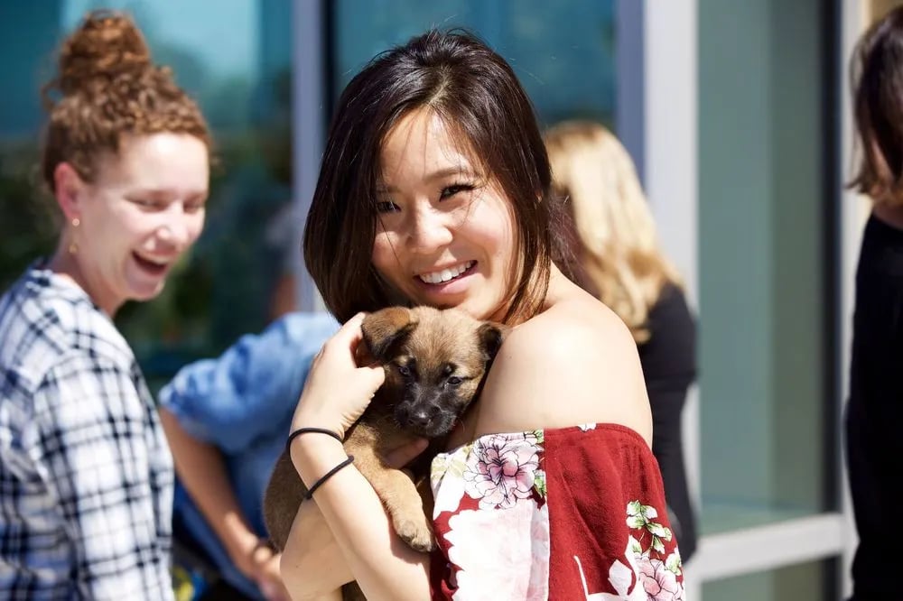 Puppy Love image