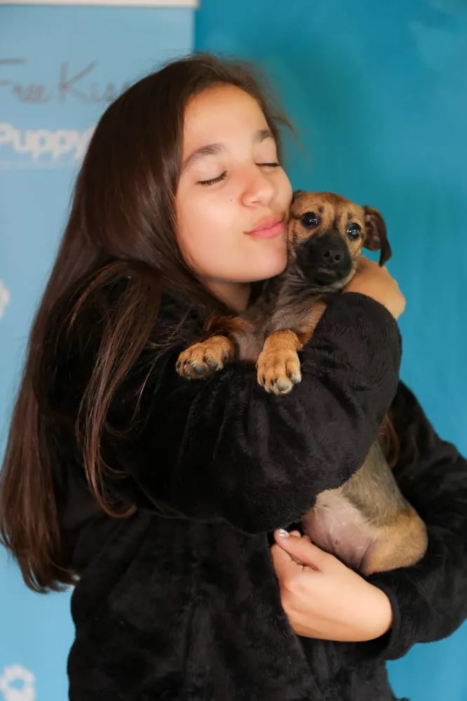 Puppy Love image
