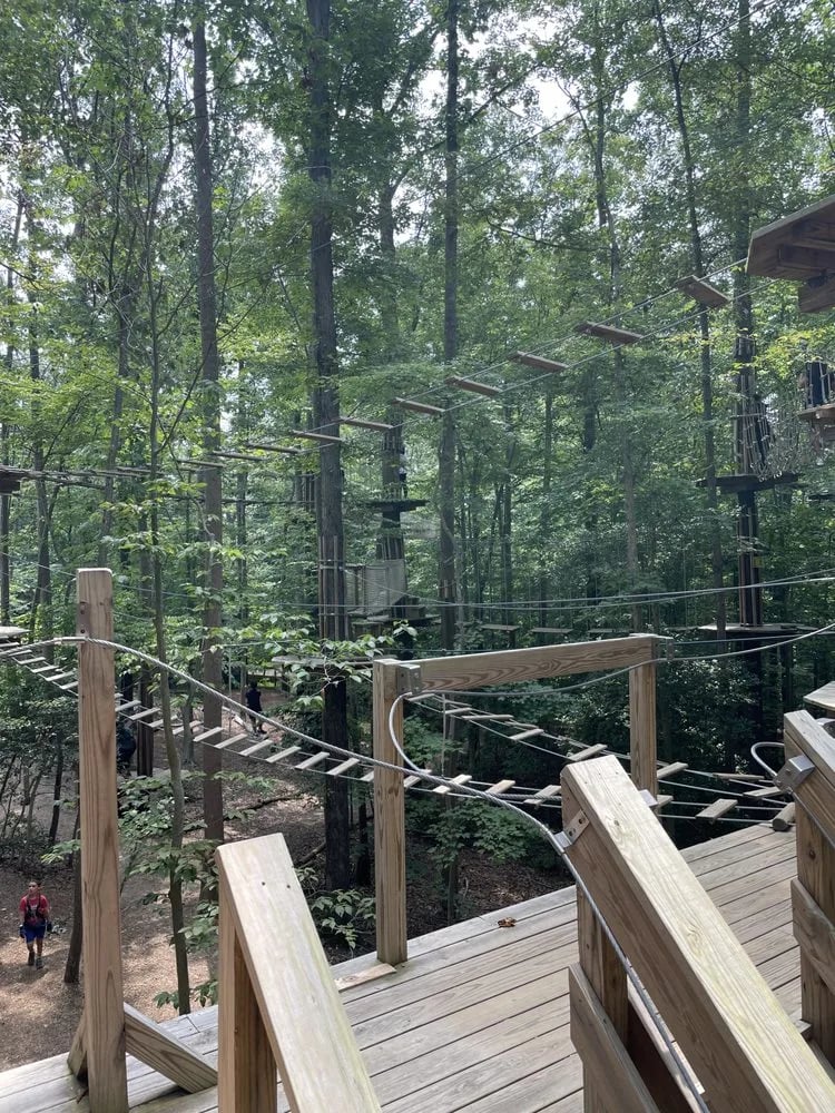 Go Ape Zipline & Adventure Park image
