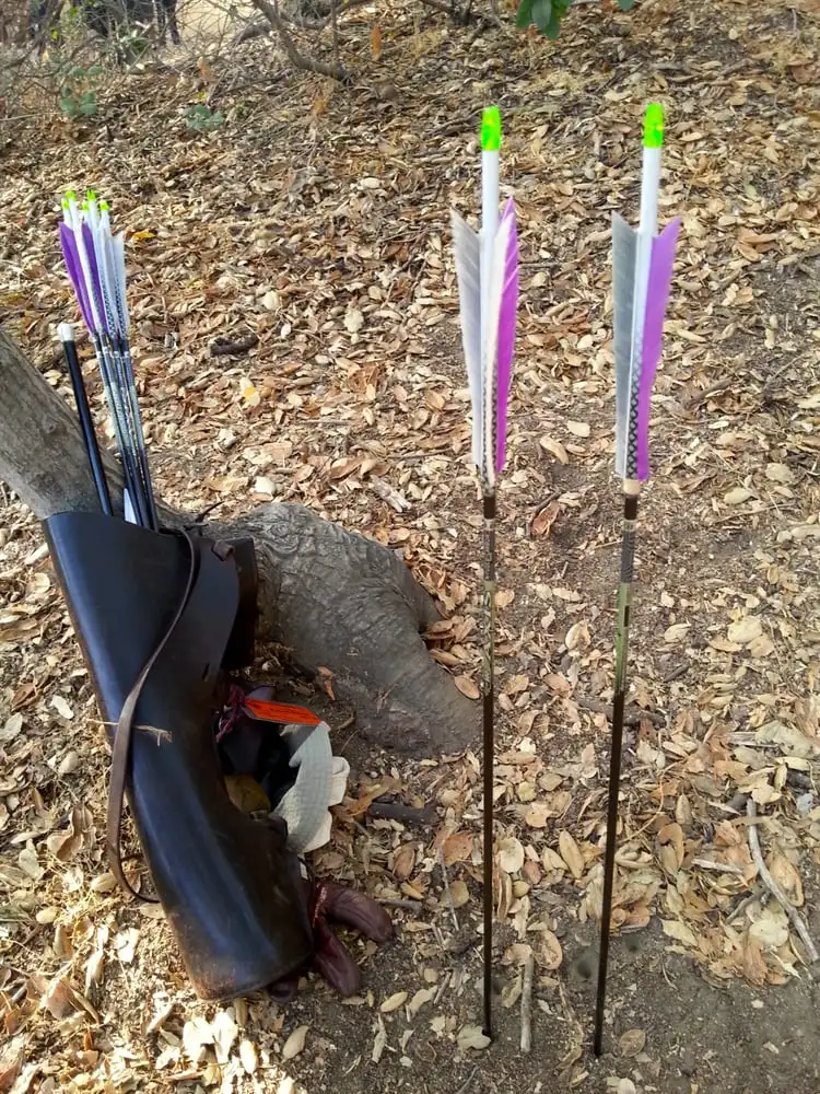 Pasadena Roving Archers image