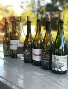 Que Sera, Syrah