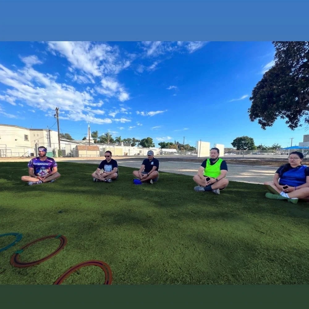 Kinflow image
