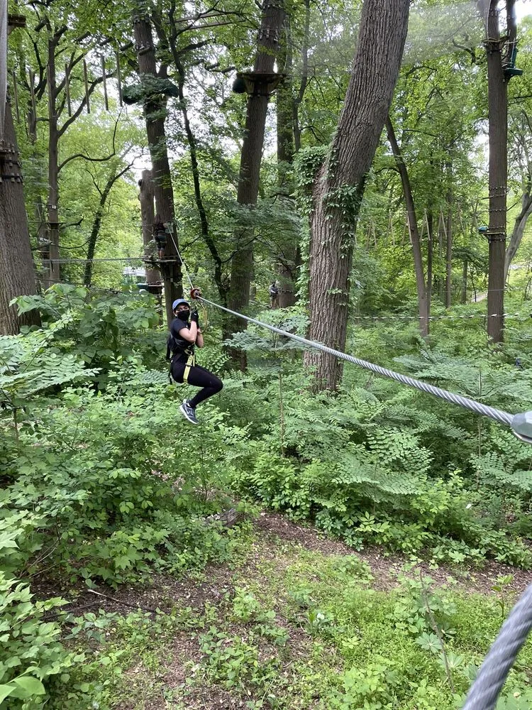 Treetop Quest Philly image