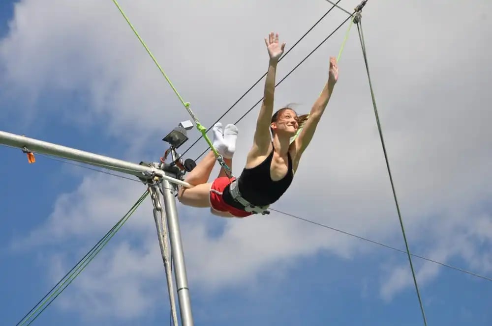 Trapeze School New York image