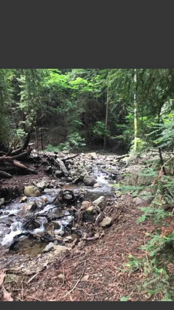 California Survival School image