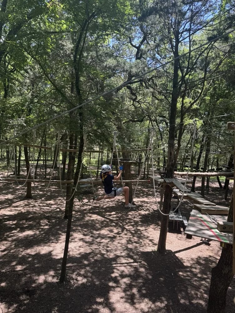 Trinity Forest Adventure Park image