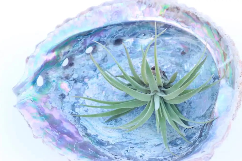 Flourish Workshops image