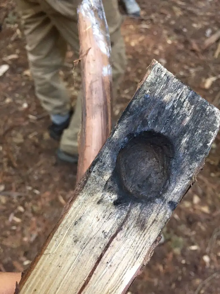California Survival School image