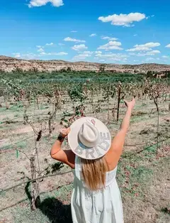 AZ Wine Wagon