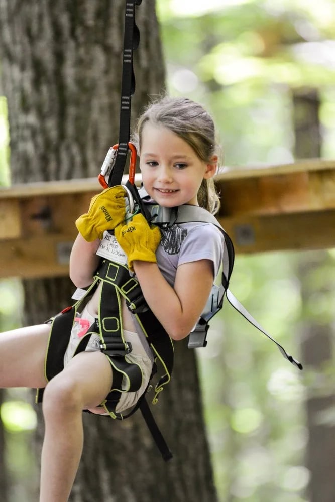 Bristol Mountain Aerial Adventures image
