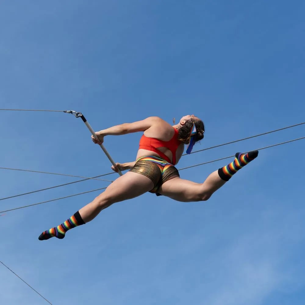 Trapeze School New York image