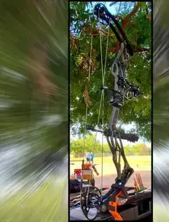 Robertson Archery