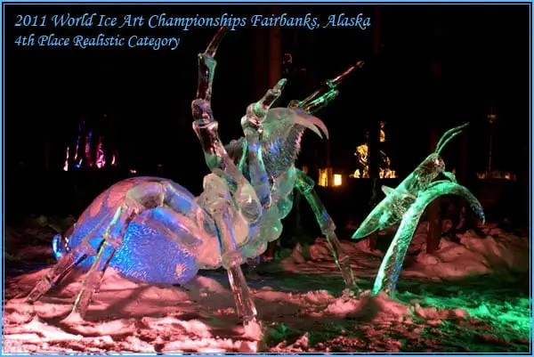 Ice Illusions image