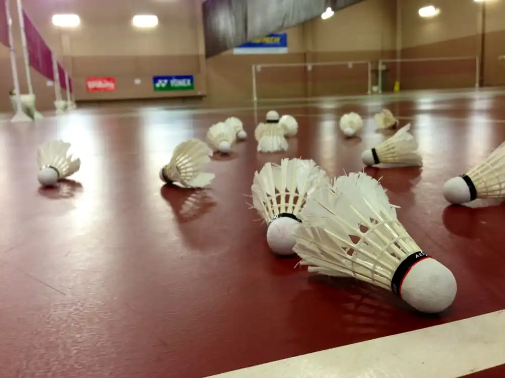 Bay Badminton Center image
