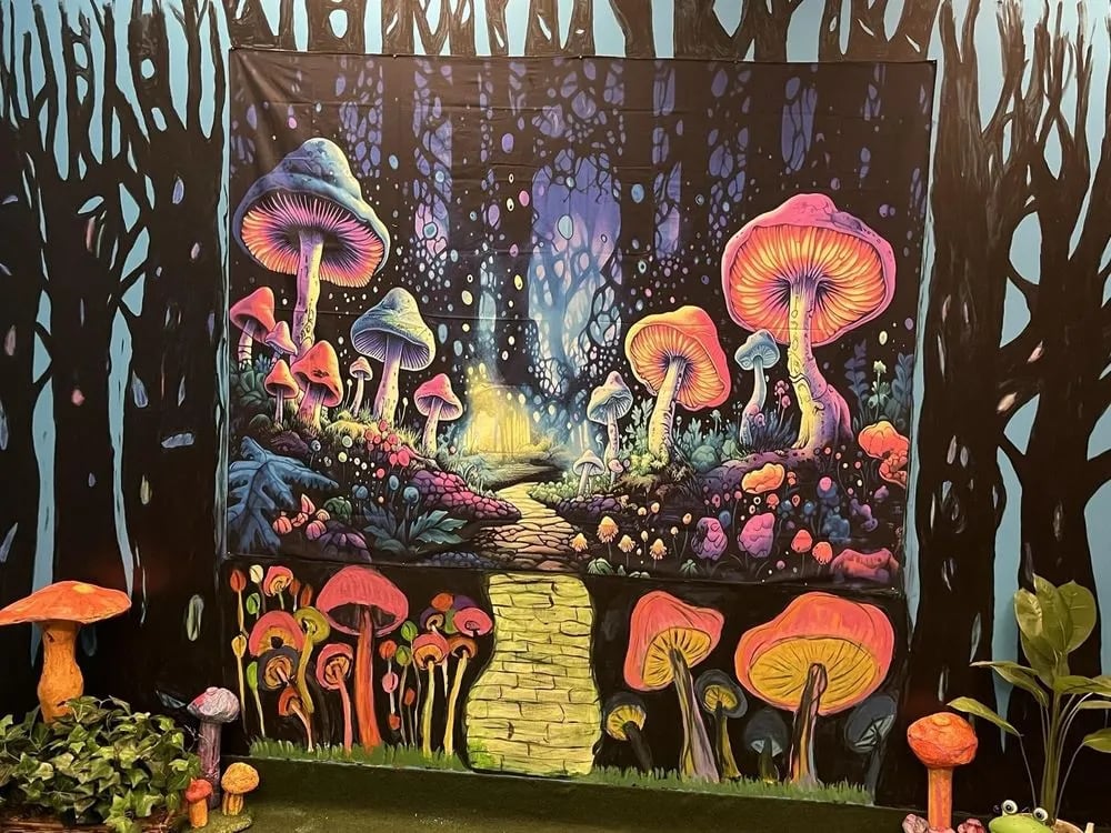 Stealth Escape Rooms image
