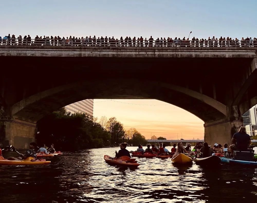 Live Love Paddle image