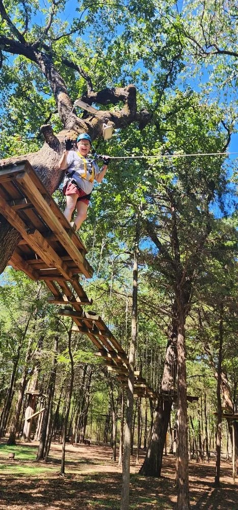 Trinity Forest Adventure Park image