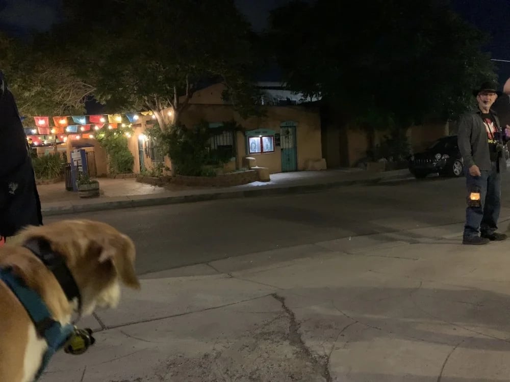 AbqTours image