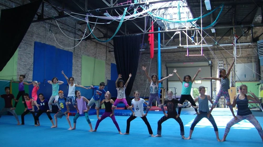 MSA & Circus Arts image