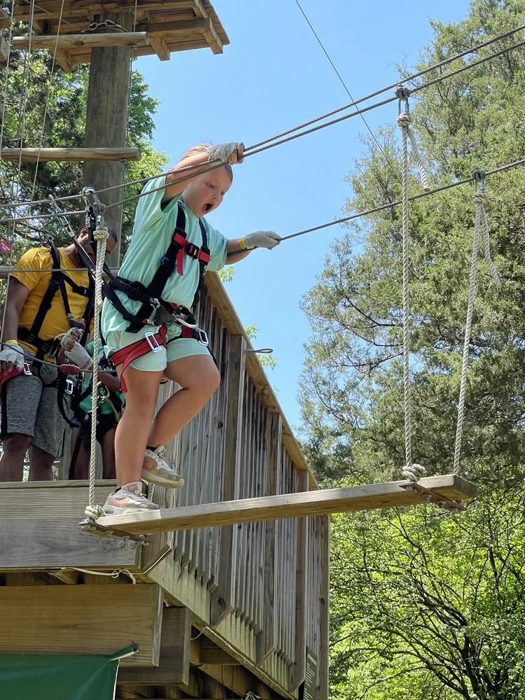 The Adventure Park at Nashville image