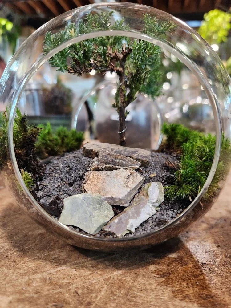 Urban Sprouts image