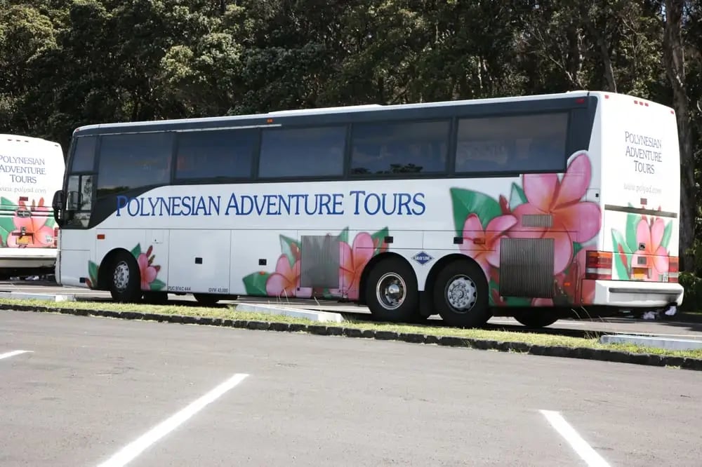 Hawaii State Tours image