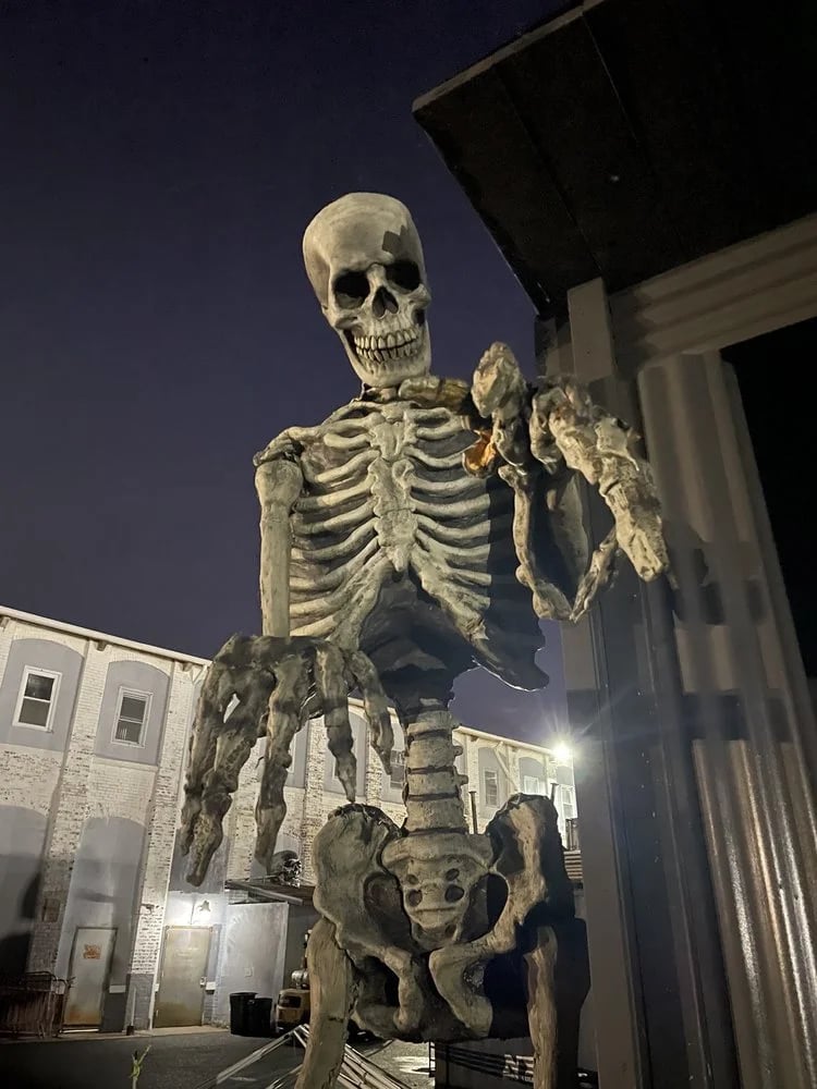 Brighton Asylum image