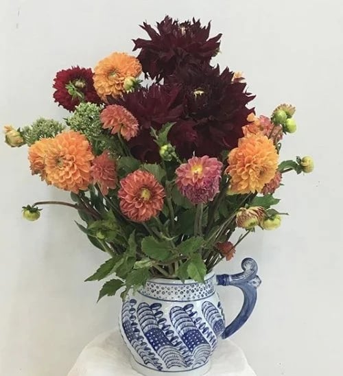 Fleur Elise Bkln image