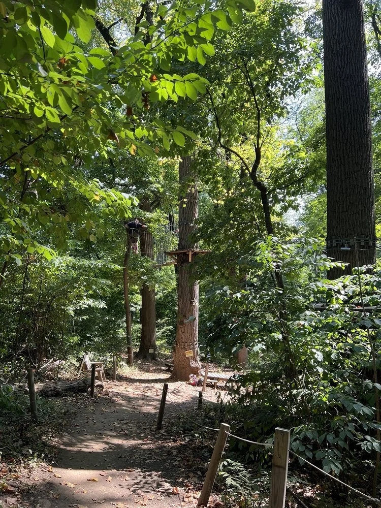 Treetop Quest Philly image
