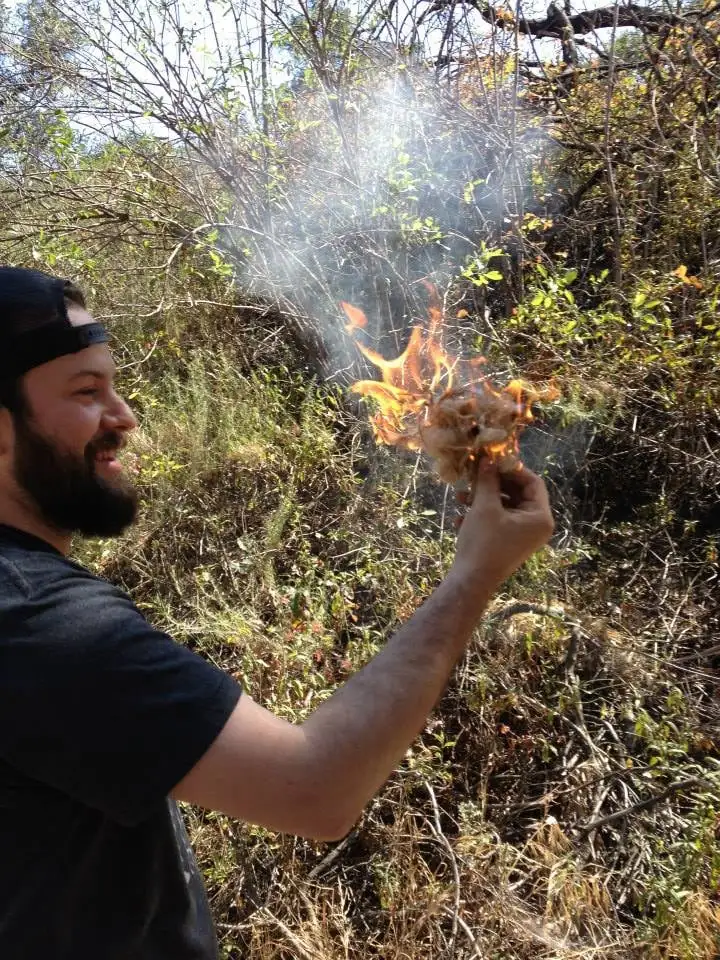 California Survival School image