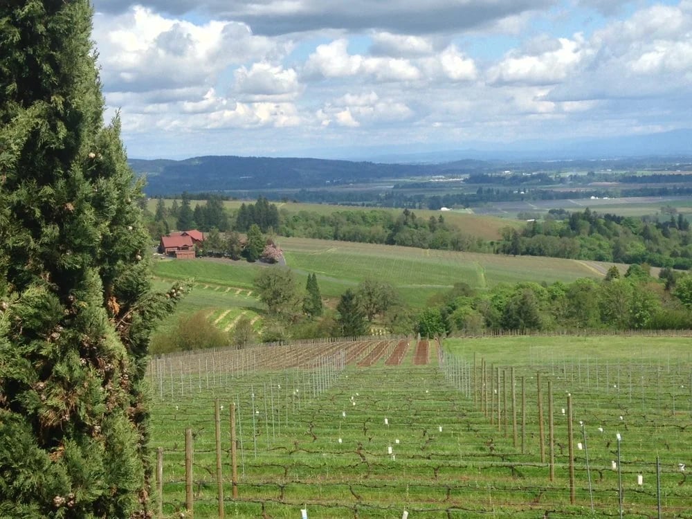 Oregon Wine Guides image