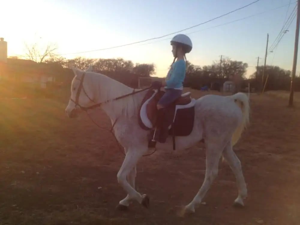 Texas Trail Rides image