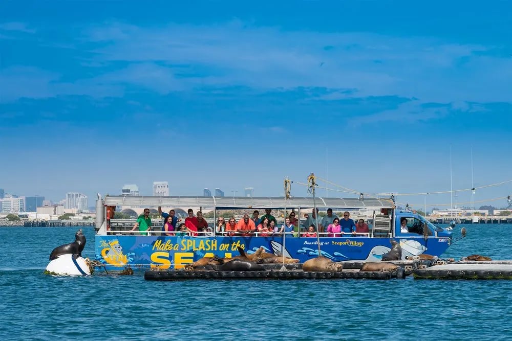 San Diego Seal Tour image