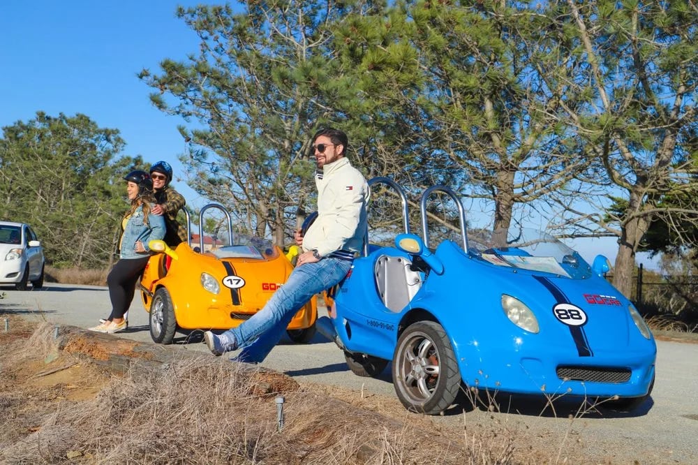 GoCar Tours image