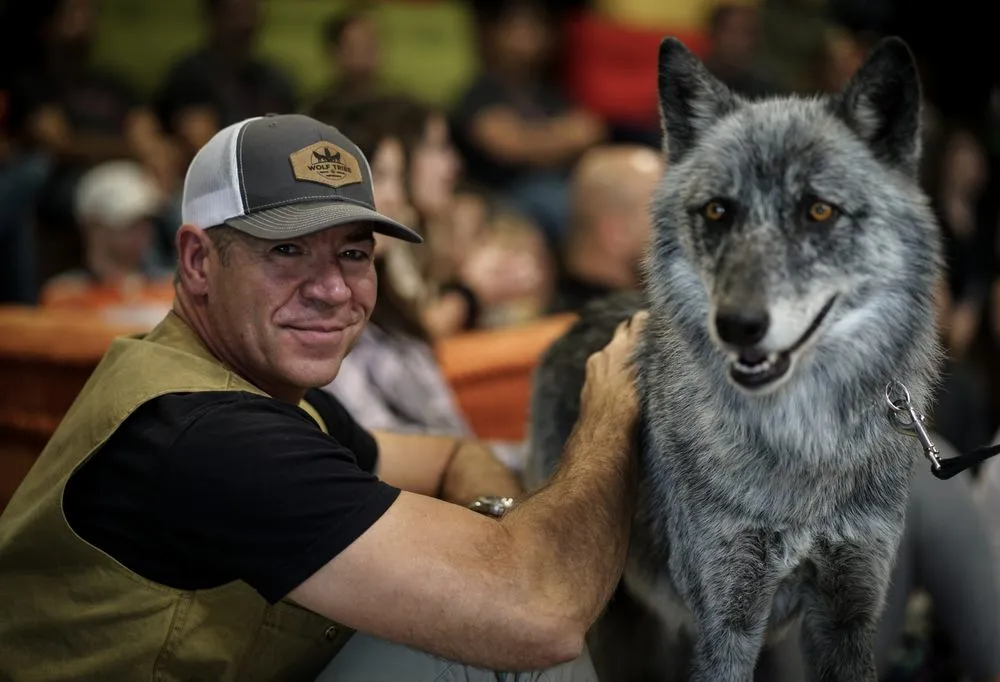 Wolf Tribe image