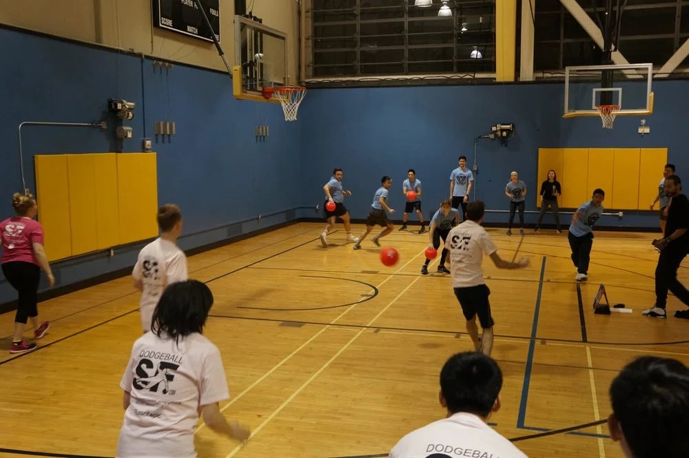 Play in the Bay Sport & Social Club image