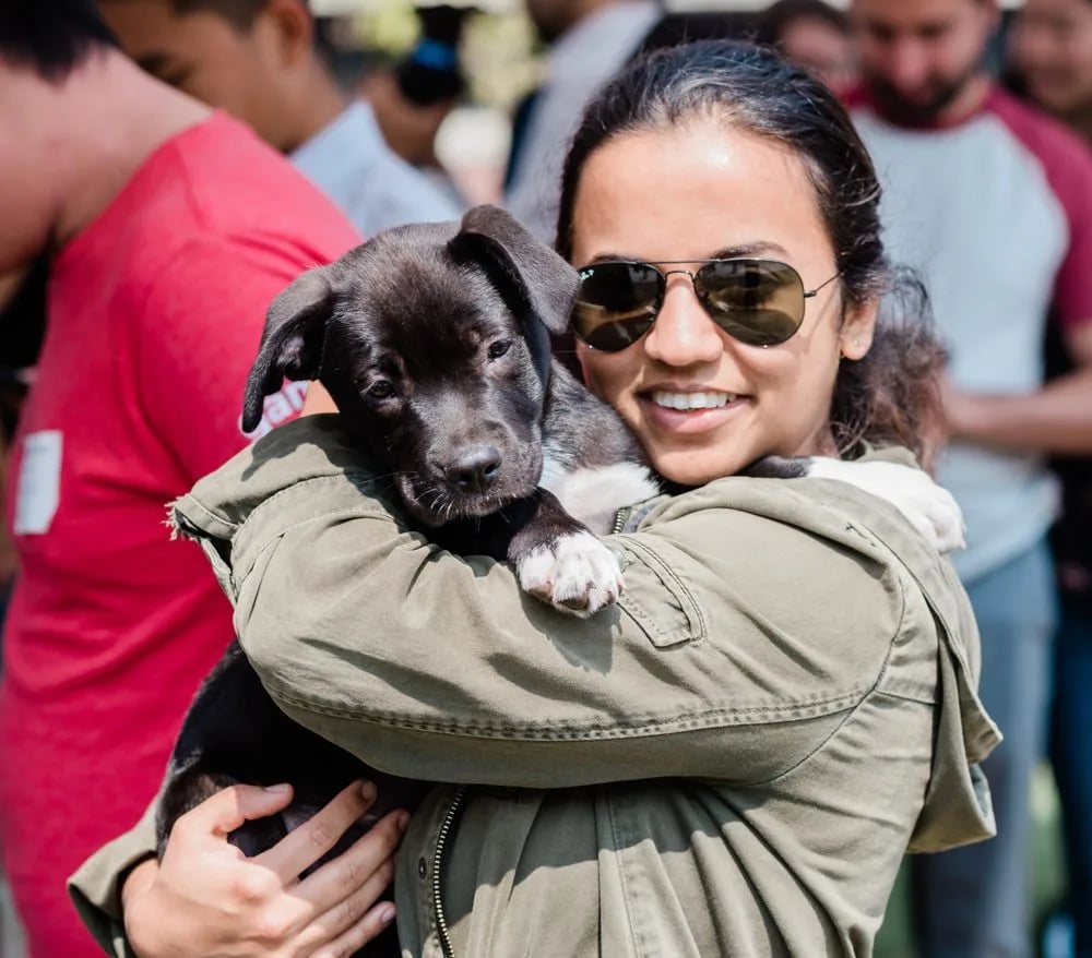 Puppy Love image