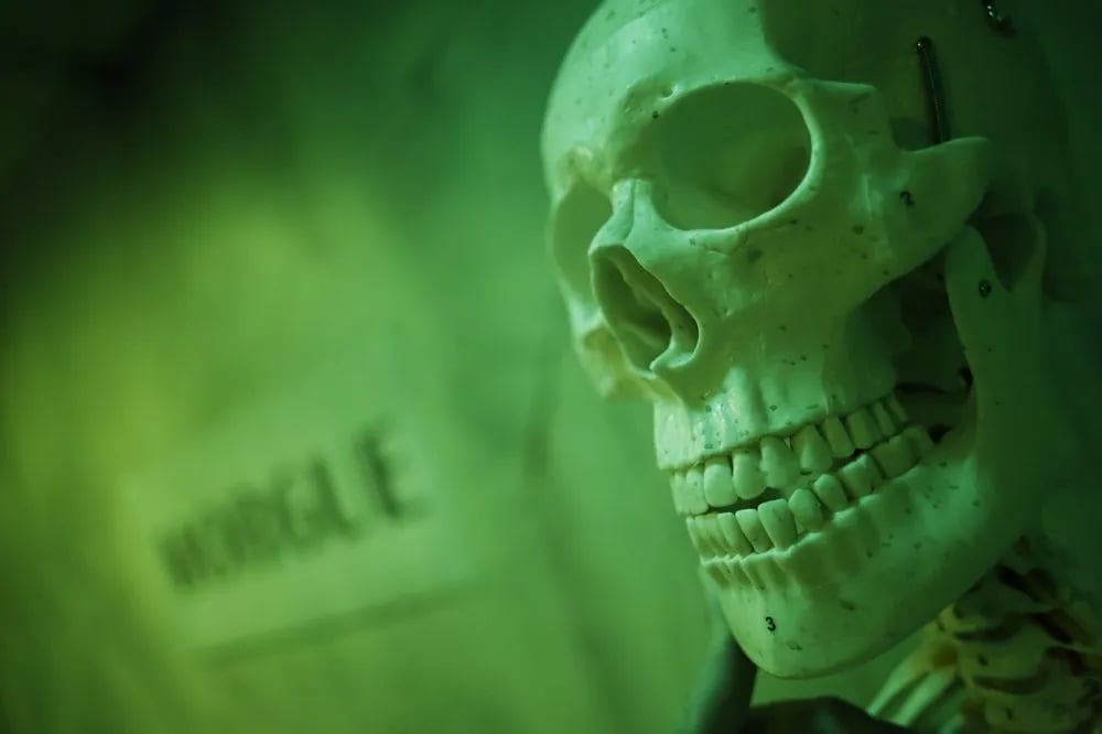 America's Escape Game Tampa image