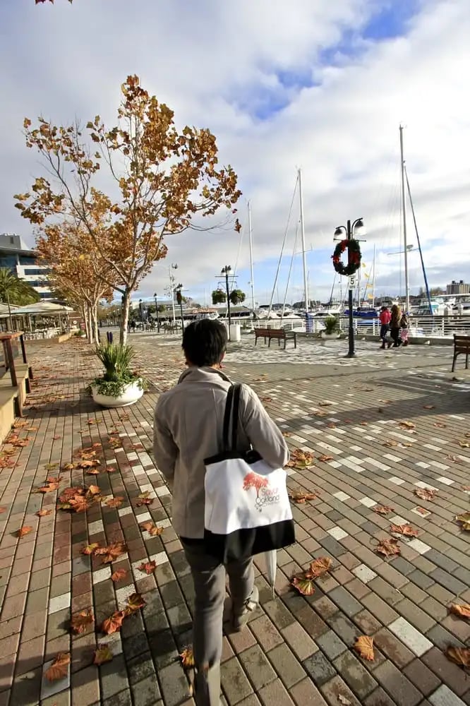 Savor Oakland Food Tours image