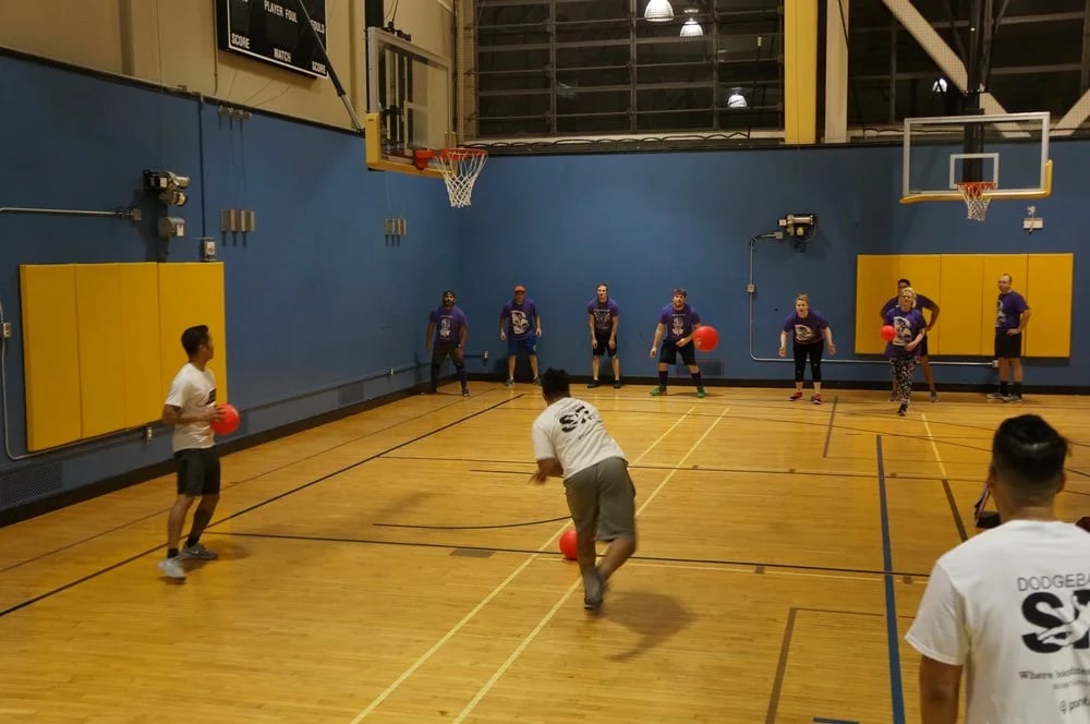 Play in the Bay Sport & Social Club image