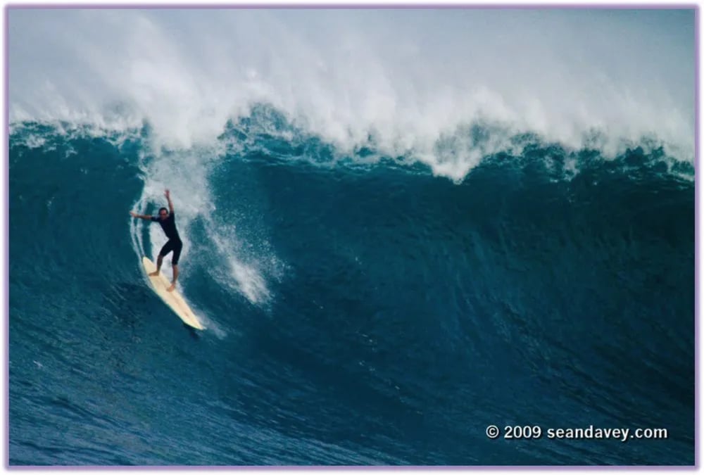 The Surf Professor image