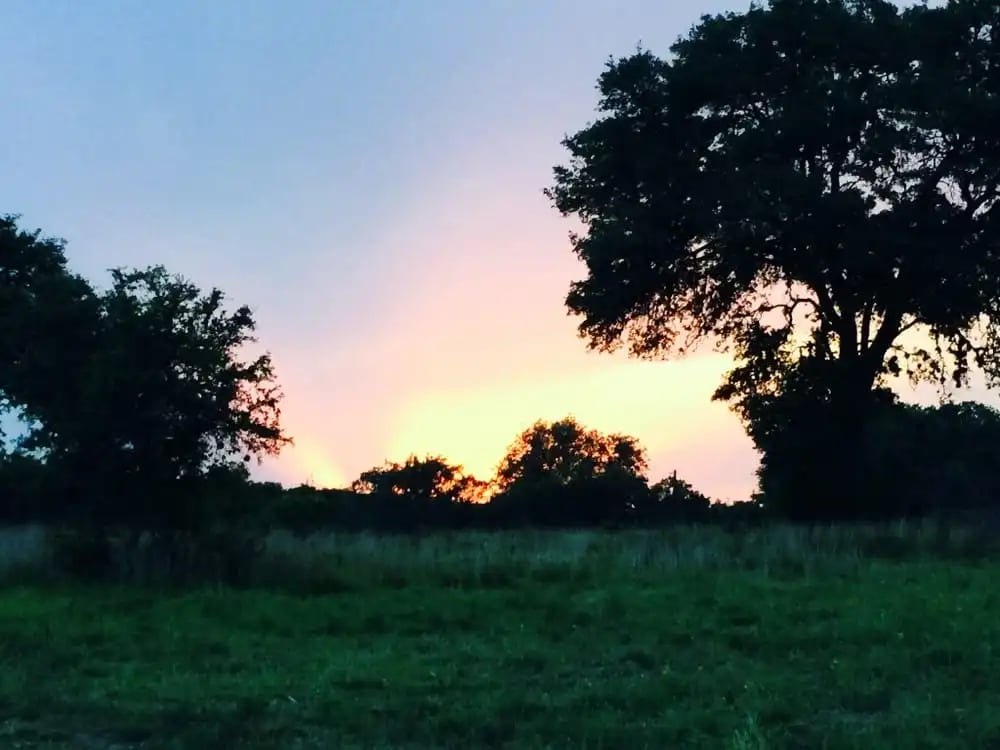 Texas Trail Rides image