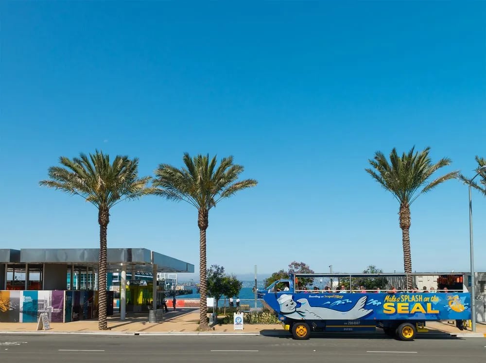 San Diego Seal Tour image