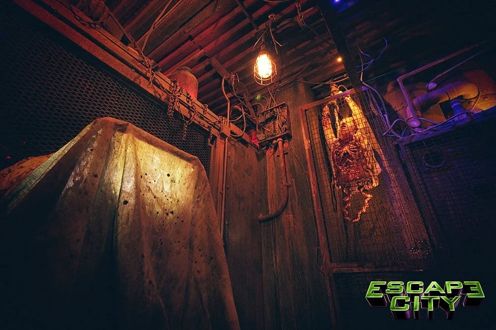 Escape City Buffalo image