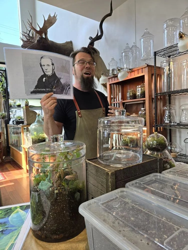 Roosevelt's Terrariums image