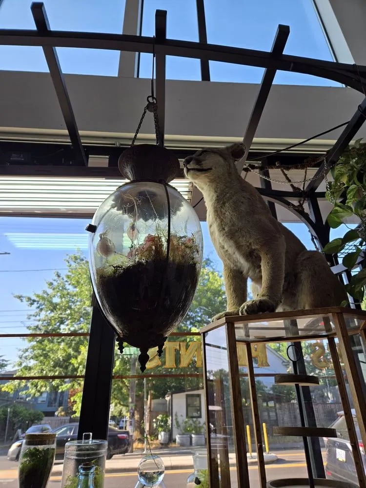 Roosevelt's Terrariums image