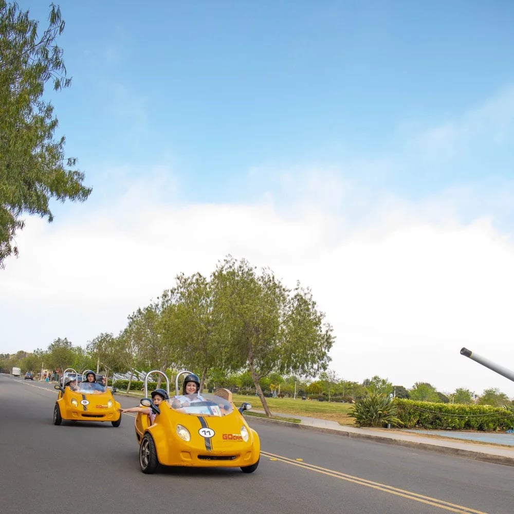 GoCar Tours image