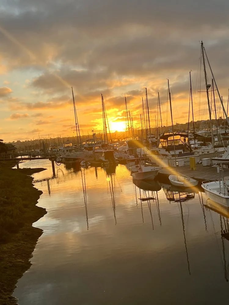 Pacifica Sailing Charters image