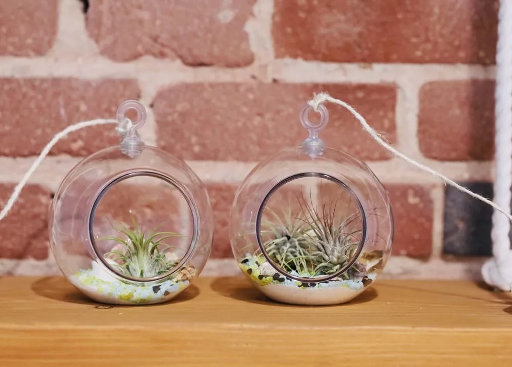 Craftivity image