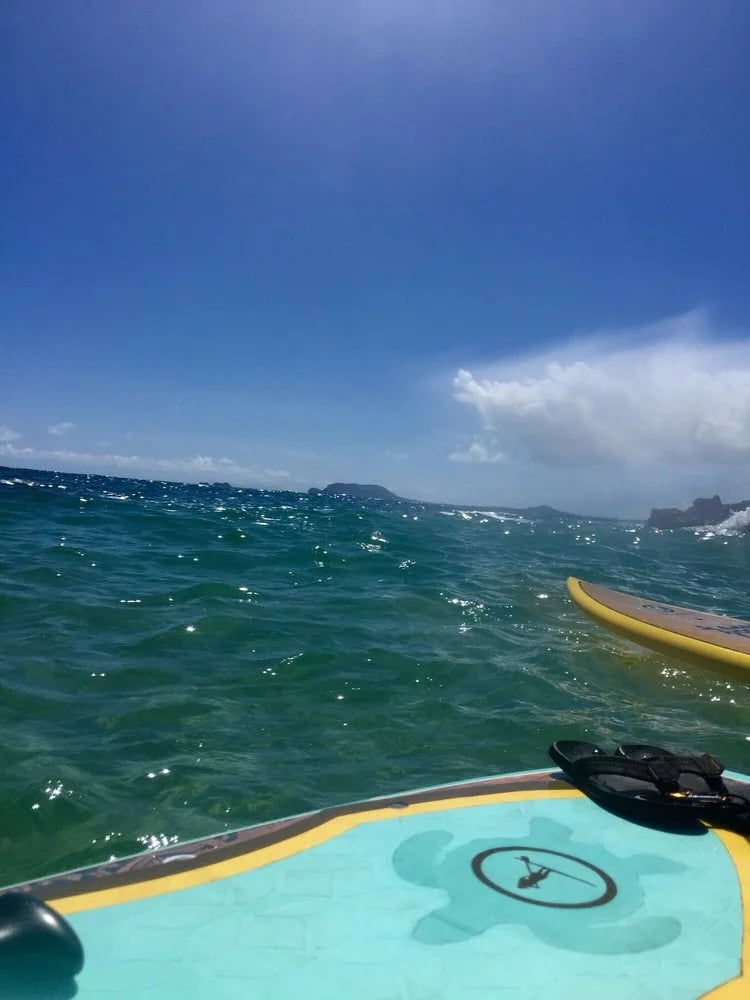 The Surf Professor image